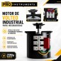 Motor de Volteo para incubadoras de Huevos - 220V - Pro Instruments - 60KTZY