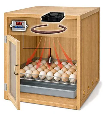 PI-VENT-12C.jpg