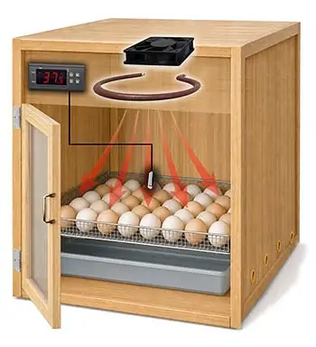 PI-VENT-12C.jpg